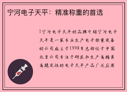 宁河电子天平：精准称重的首选
