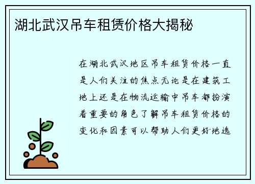 湖北武汉吊车租赁价格大揭秘